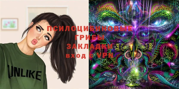 spice Балабаново
