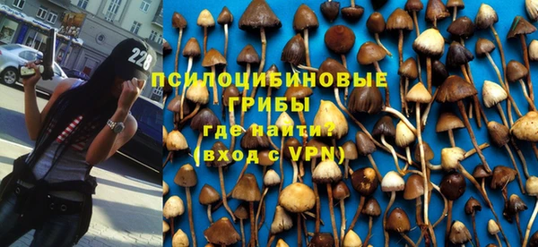 spice Балабаново
